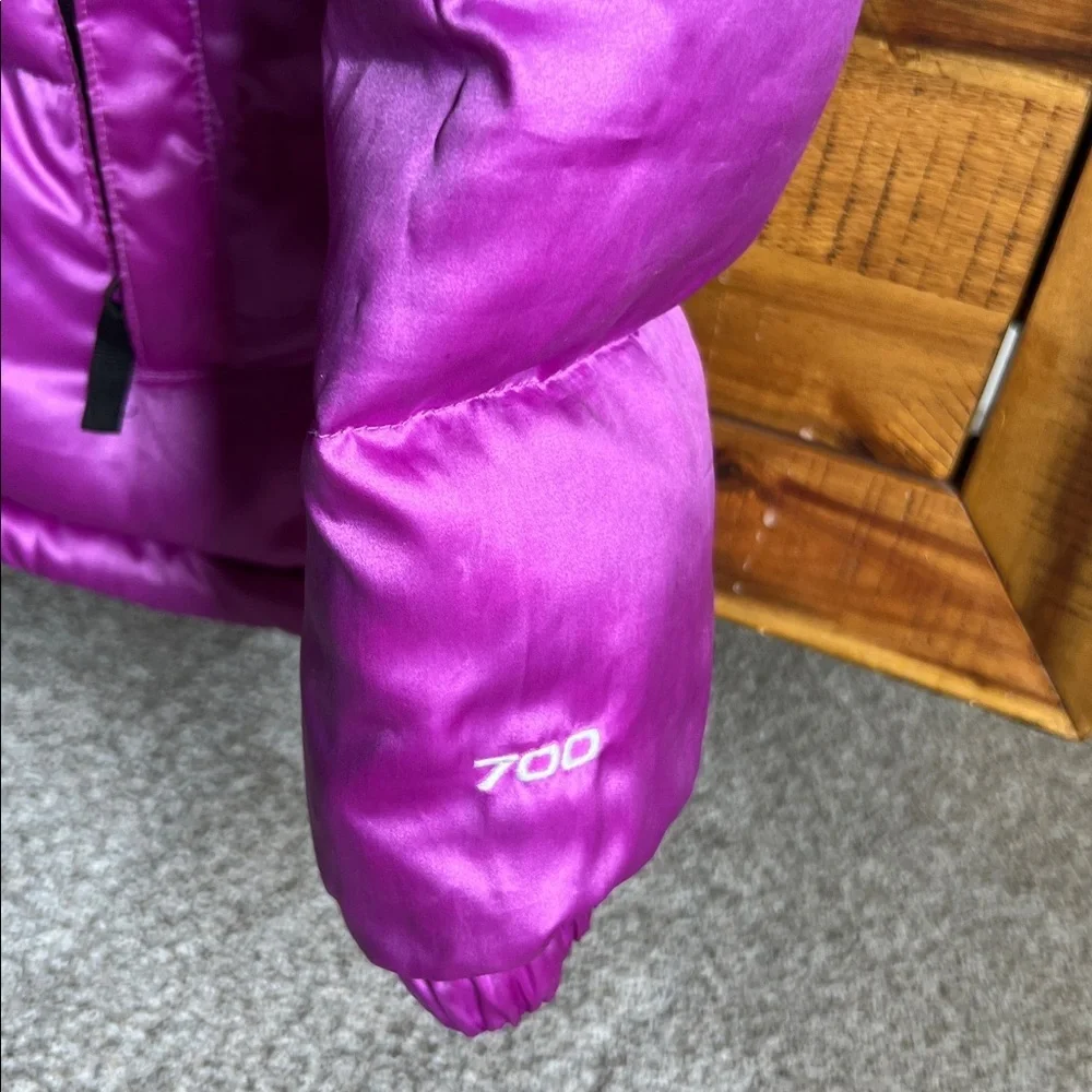 The North Face north face